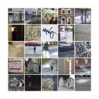 Trace Elements 6
