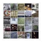 Trace Elements 1