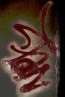 wall painting 12 