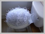 roger woodiwiss photography on the lavatory series